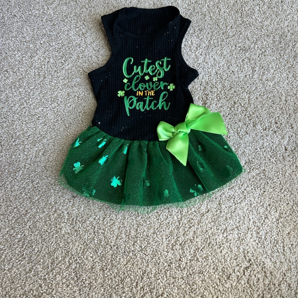 Cute St. Patrick’s Day dog dress